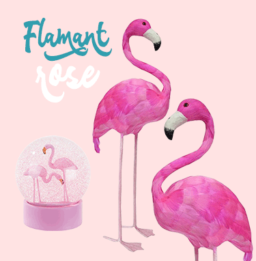 Flamant Rose �t� 2017 