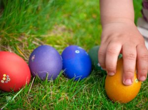 La grande course aux �ufs