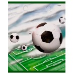 8 pochettes � cadeaux  foot sky