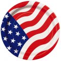 8 assiettes American party
