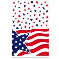 Nappe American party