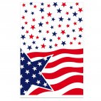 Nappe American party