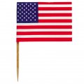 Pics American party