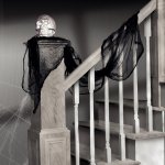 Voile Organza Noir