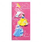 Affiche de porte Princesses Disney