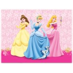 Nappe Princesses Disney