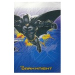 1 nappe Batman
