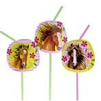 8 pailles Cheval
