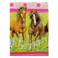 Nappe Cheval