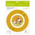 4 D�cors Assiettes Decopop Einstein et Goliath