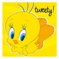 20 serviettes Titi