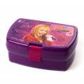 Boite � gouter Hannah Montana