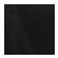 20 serviettes Noir