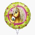 Ballon Cheval