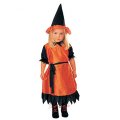 Costume Sorci�re 1-2 ans