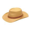 Chapeau de cow-boy plastique