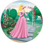 Disque azyme Princesse Aurore