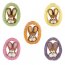 Contient : 1 x 5 T�tes de lapin sur m�daillon Oeuf cristallis�