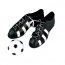 Contient : 1 x Chaussures et ballon de foot