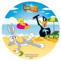 Disque azyme Looney tunes