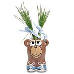 Pot de culture Munakuppi Singe