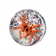 Balle rebondissante araign�e