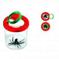 Boite loupe insecte