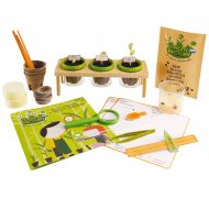 Kit atelier du petit botaniste