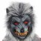 D�guisement de Teen Loup Garou images:#1