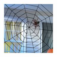 Toile d'Araign�e - Corde