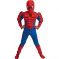 D�guisement Spiderman