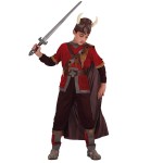 D�guisement Garcon Viking