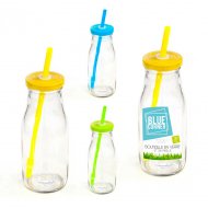 Bouteille en Verre + couvercle + paille