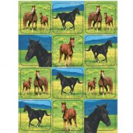 4 Planches Stickers Cheval Nature