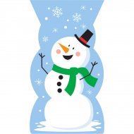 20 Pochettes Cello Bonhomme de Neige