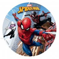 Disque Spiderman & Friends (16 cm) - Sucre