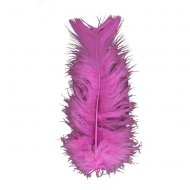 30 Plumes Rose fuschia