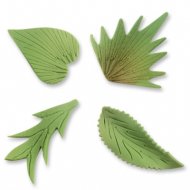 Assortiment de 8 feuilles en sucre