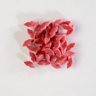 Bouches en sucre 50 gr