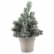 Mini Sapin Enneig� (20 cm) - Pot Plastique