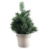 Mini Sapin Givr� (20 cm) - Pot Plastique