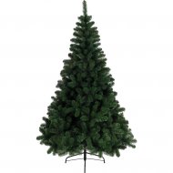 Sapin Eternel Imp�rial (150 cm)