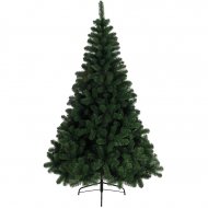 Sapin Eternel Imp�rial (180 cm)