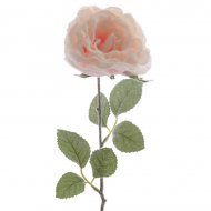 Rose Givr�e sur Tige (44 cm)