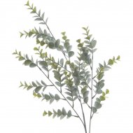 Branche Eucalyptus (72 cm) - Plastique