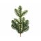 Petite Branche Sapin Nordman (33 cm) - Plastique images:#0