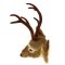 Grande T�te de Renne � Suspendre (35 cm) images:#2