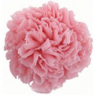 5 Oeillets en P�te d'amandes