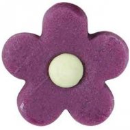 8 Marguerites couleur Pop en p�te d'amande