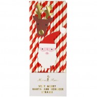 24 Pailles P�re No�l et Renne